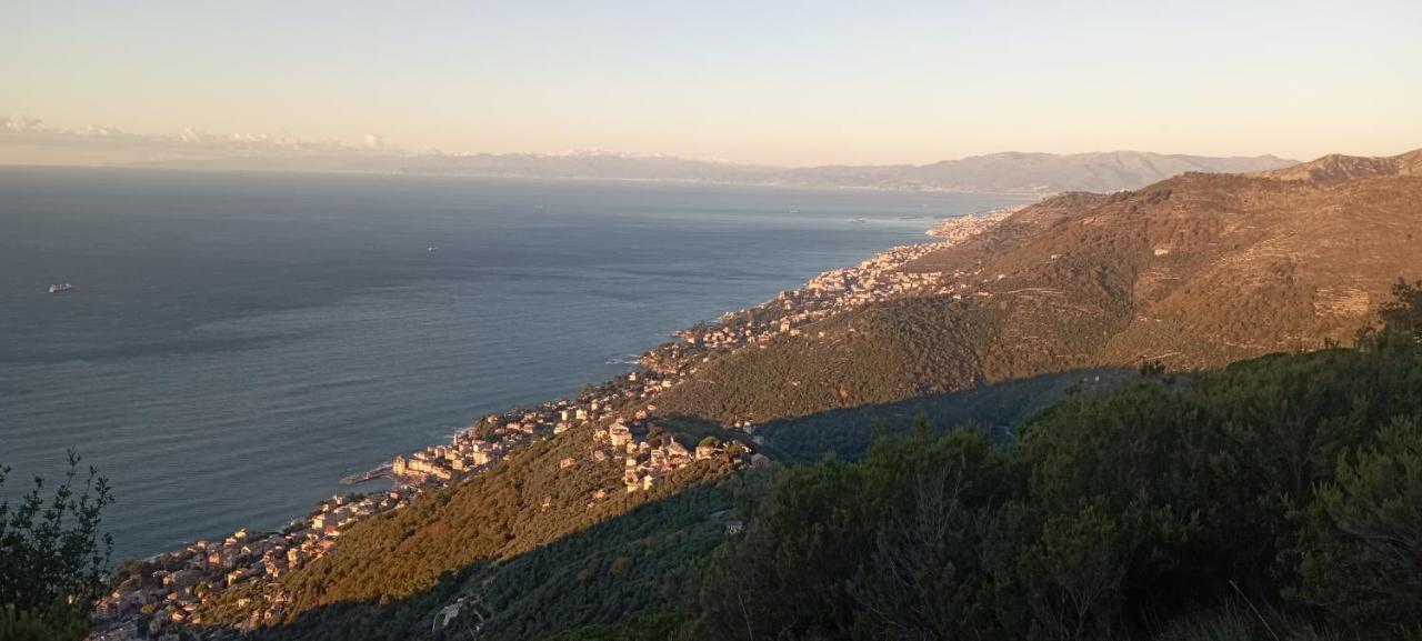 In Scia Costa Lejlighed Bogliasco Eksteriør billede